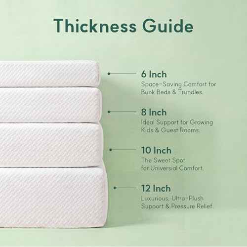 Queen-Matratze, 10 Zoll Queen- – Memory Foam Mattress In A Box Queen Bewertung und Preis