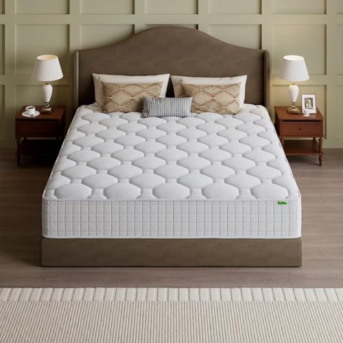 Queen-Matratze, 14 Zoll Hybrid – Memory Foam Mattress In A Box Queen Bewertung und Preis
